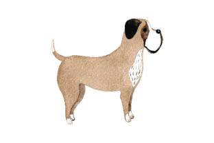 Boxer - Watercolor: A Design Asset for Dog-Centric Branding