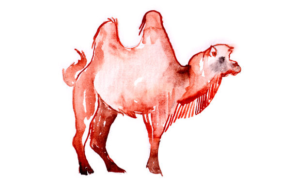 Camel in Watercolor: A Versatile Animal Graphic for Creative Sellers