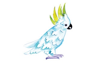 Cockatoo in Watercolor Style for Australian Branding Projects