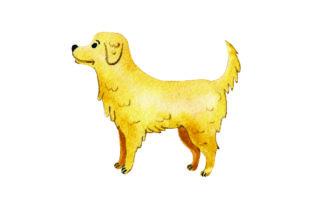 Golden Retriever - Watercolor Embroidery Design Review