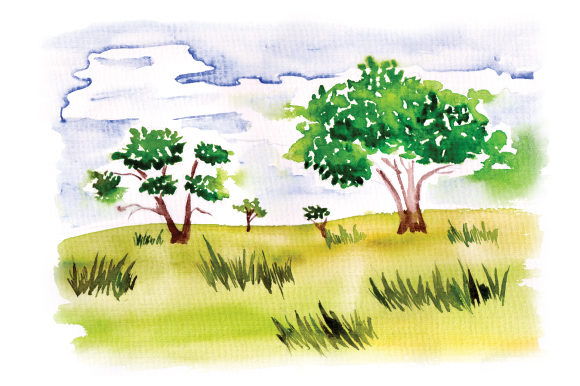 Grasslands Scene in Watercolor Review: A Real-Project Perspective