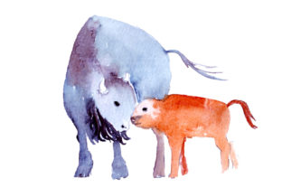 Mom and Baby Buffalos in Watercolor Style: A Versatile Animal Graphic for Branding