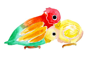 Mom and Baby Parrots in Watercolor Style
