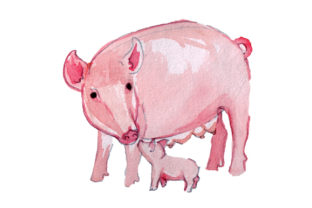 Mom and Baby Pigs in Watercolor Style