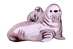 Mom and Baby Walruses in Watercolor Style