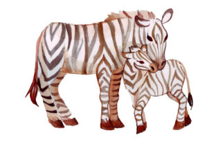 Mom and Baby Zebras in Watercolor Style: A Versatile Graphic Design Asset for Animal-Themed Content