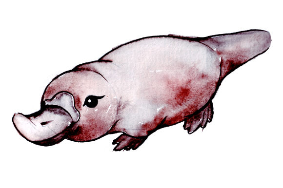 Platypus in Watercolor Style