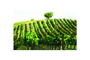 Vineyard - Watercolor Style: A Versatile Design Asset for Wine Branding