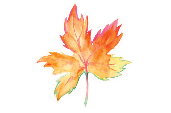 Watercolor Autumn Leaf: A Design Asset That Captures Australia's Seasonal Spirit