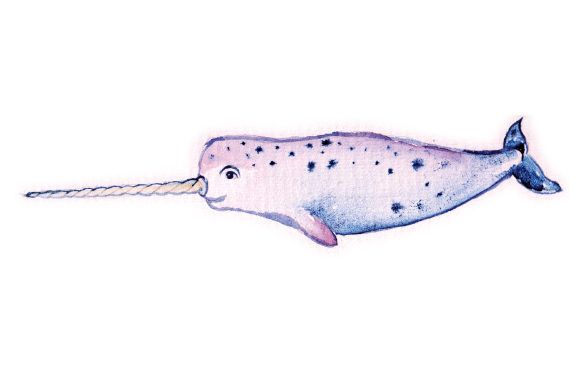 Watercolor Narwhal: A Versatile Graphic for Animal-Themed Crafts