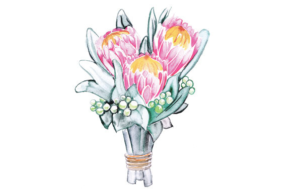 Watercolor Proteas in Bouquet: A Vibrant Graphic Design Asset for Australian Brands