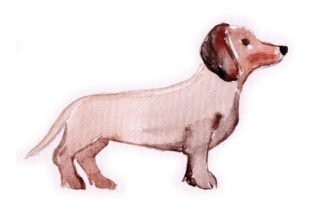 Watercolour Dachshund: A Spring-Inspired Graphic Design Asset for Creative Sellers