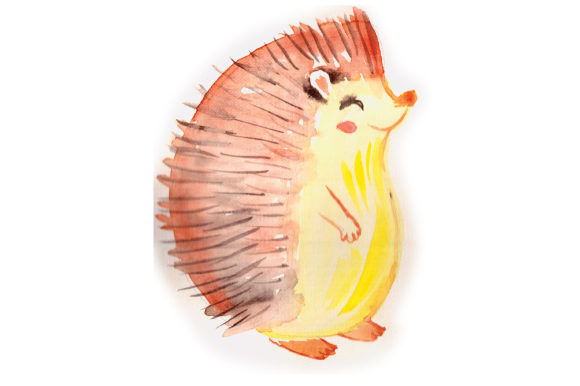 Woodland Animal Watercolor Hedgehog Review for Real Projects